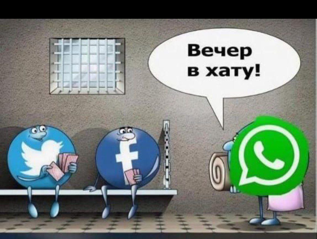 Массовые запреты соцсетей ударили по государственному бюджету, рассказывают источники